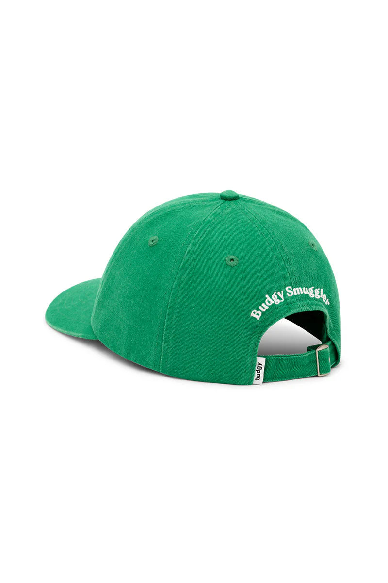Dad Cap in Cricket Wickets - Image 3