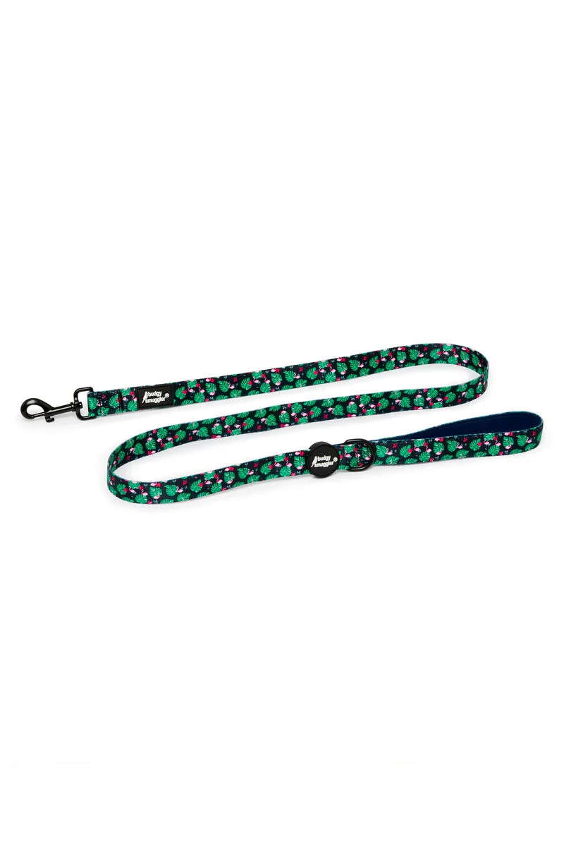 Pet Leash in Flamingoes