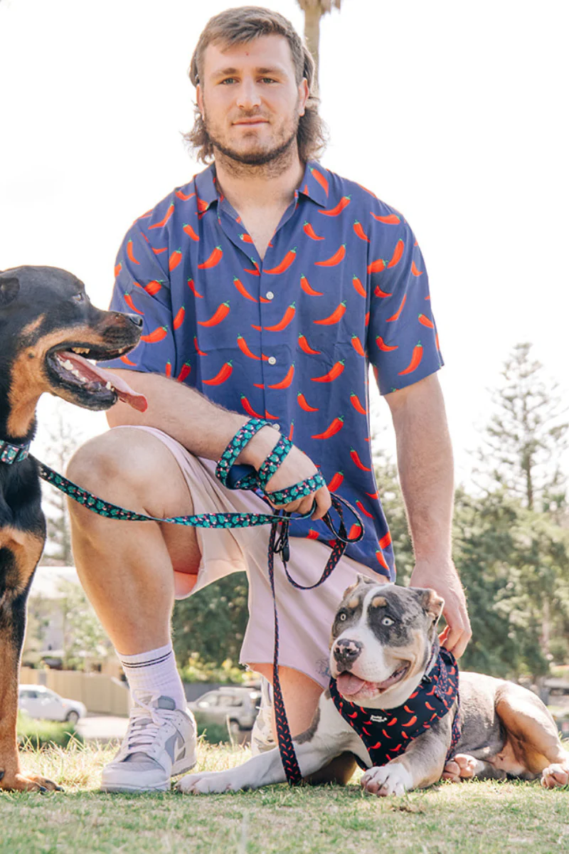 Pet Leash in Flamingoes - Image 2